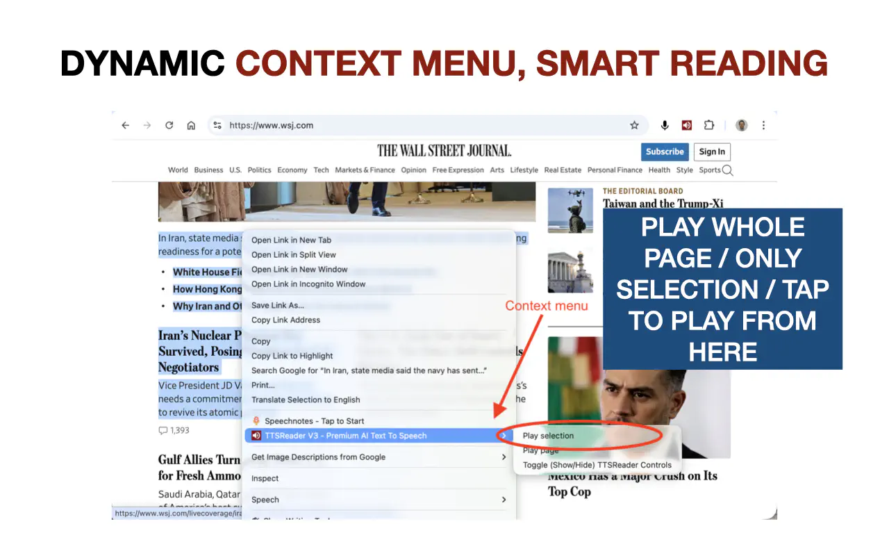 TTSReader’s Context Menu